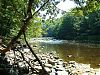 River Ure at Hackfall looking towards Masham