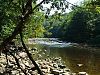 River Ure at Hackfall looking towards Masham