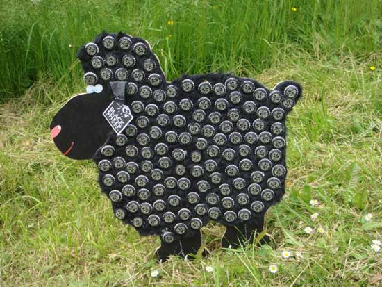 Black Sheep