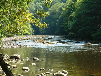 River Ure at Hackfall looking towards Masham