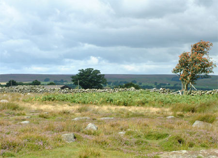 Castiles Farm