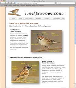 Tree Sparrows Web Site