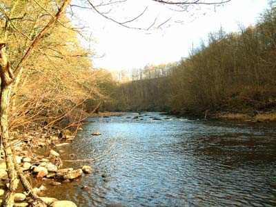 The River Ure Hackfall