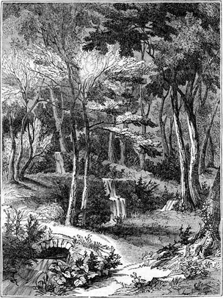 Woodcut of Alum Spring Hackfall